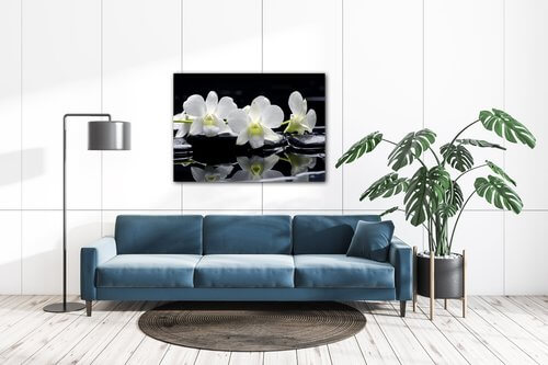 Obraz Biele orchidee na čiernom pozadí - 70 x 50 cm