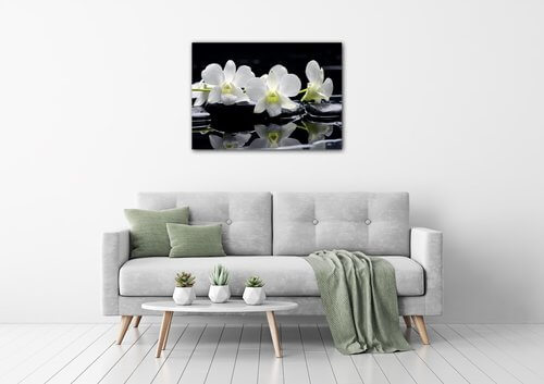 Obraz Biele orchidee na čiernom pozadí - 70 x 50 cm