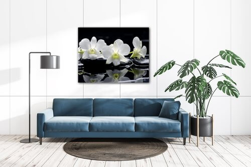 Obraz Biele orchidee na čiernom pozadí - 90 x 70 cm