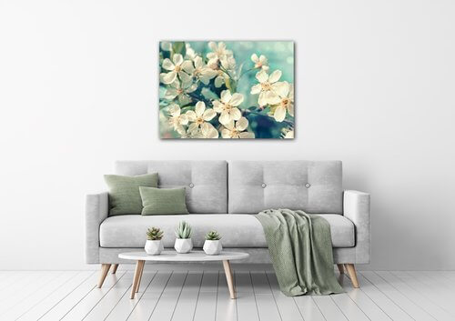 Obraz Čerešňový kvet modré pozadie - 90 x 60 cm
