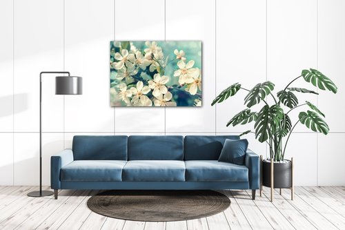 Obraz Čerešňový kvet modré pozadie - 70 x 50 cm