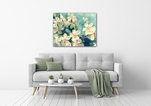 Obraz Čerešňový kvet modré pozadie - 90 x 70 cm