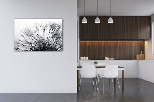 Obraz Púpava s kvapkami vody - 60 x 40 cm