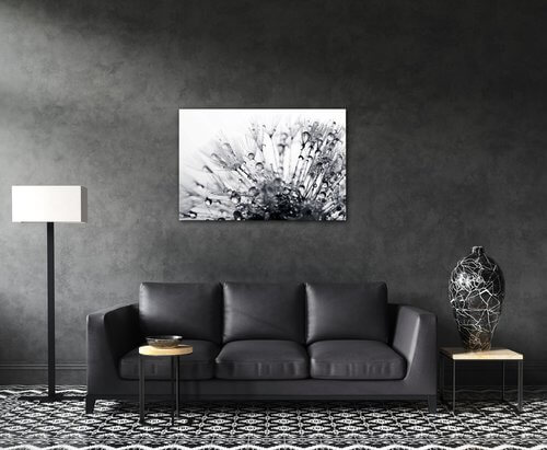 Obraz Púpava s kvapkami vody - 60 x 40 cm