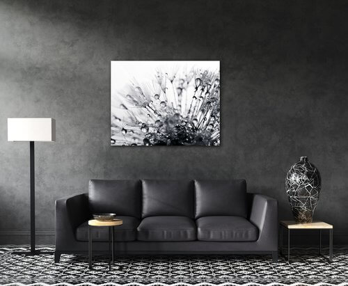 Obraz Púpava s kvapkami vody - 90 x 70 cm