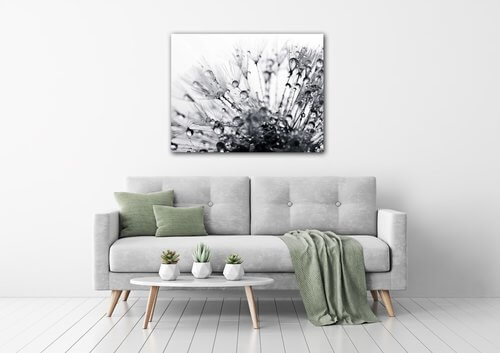Obraz Púpava s kvapkami vody - 90 x 70 cm