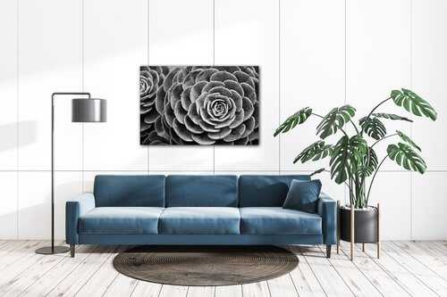 Obraz Kvet čiernobiely detail - 90 x 60 cm
