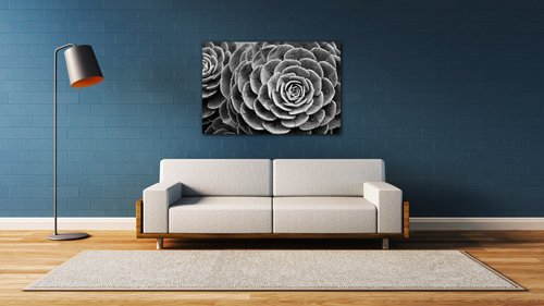 Obraz Kvet čiernobiely detail - 60 x 40 cm