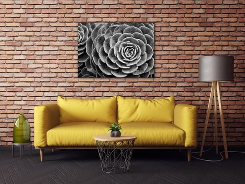Obraz Kvet čiernobiely detail - 70 x 50 cm