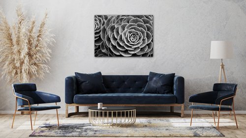 Obraz Kvet čiernobiely detail - 70 x 50 cm