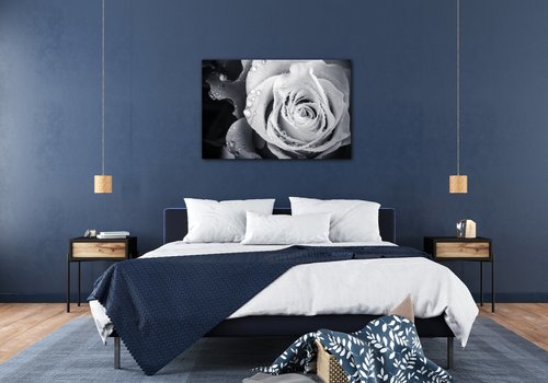 Obraz Čiernobiela ruže s kvapkami vody - 90 x 60 cm