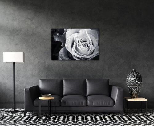 Obraz Čiernobiela ruže s kvapkami vody - 60 x 40 cm