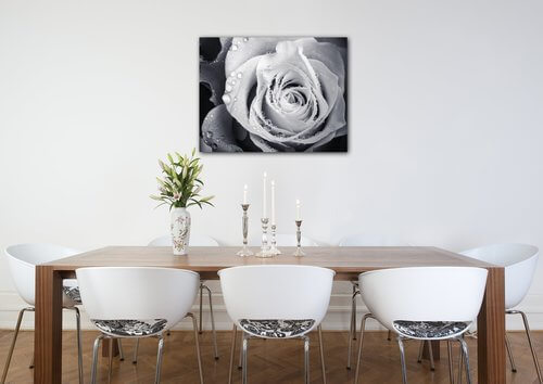Obraz Čiernobiela ruže s kvapkami vody - 90 x 70 cm