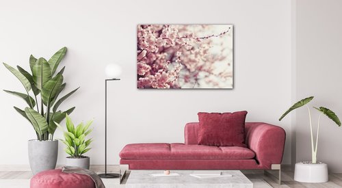Obraz Svetlo ružové kvety - 90 x 60 cm
