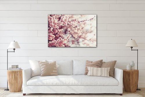 Obraz Svetlo ružové kvety - 60 x 40 cm