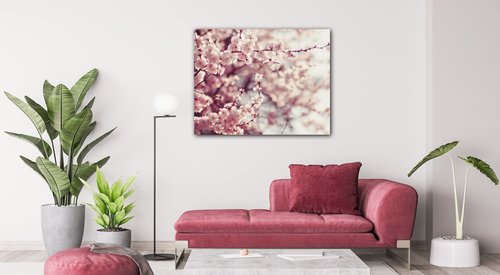 Obraz Svetlo ružové kvety - 90 x 70 cm