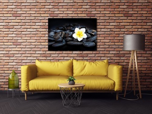 Obraz Biely kvet na čiernych kameňoch - 90 x 60 cm