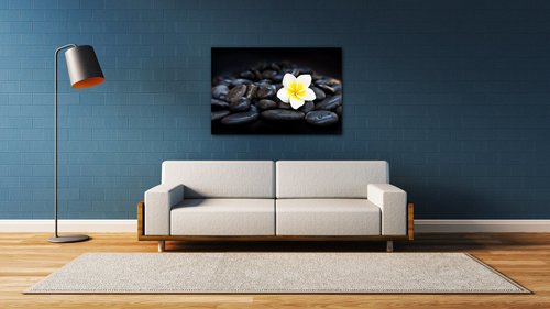 Obraz Biely kvet na čiernych kameňoch - 90 x 60 cm