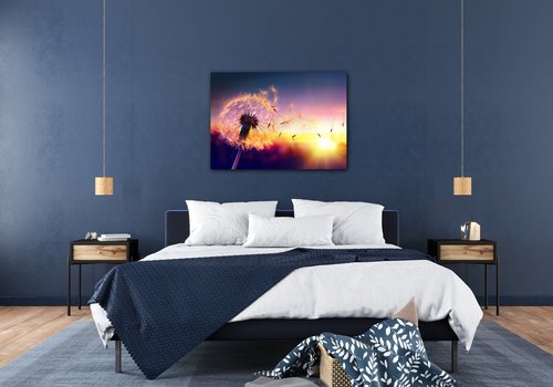 Obraz Púpava sa západom slnka - 70 x 50 cm