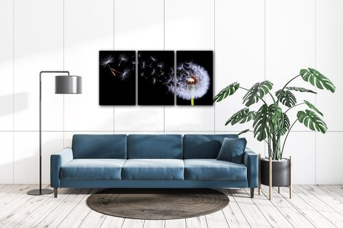 Obraz Púpava na čiernom pozadí - 120 x 60 cm (3 dielný)
