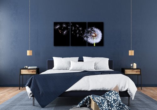 Obraz Púpava na čiernom pozadí - 120 x 60 cm (3 dielný)