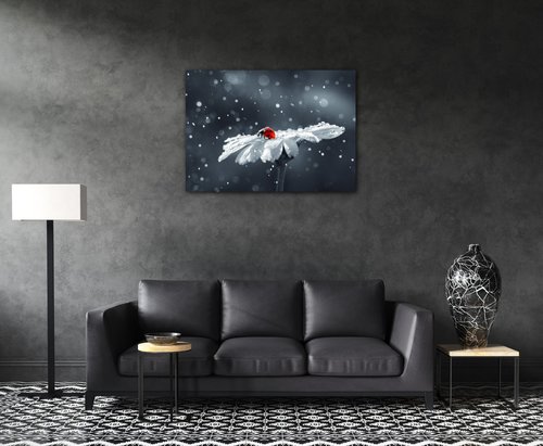 Obraz Lienka na kvetine - 70 x 50 cm