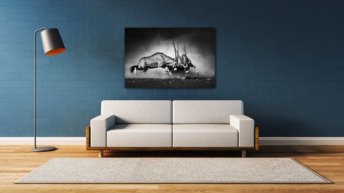 Obraz Antilopy čiernobiele - 90 x 60 cm