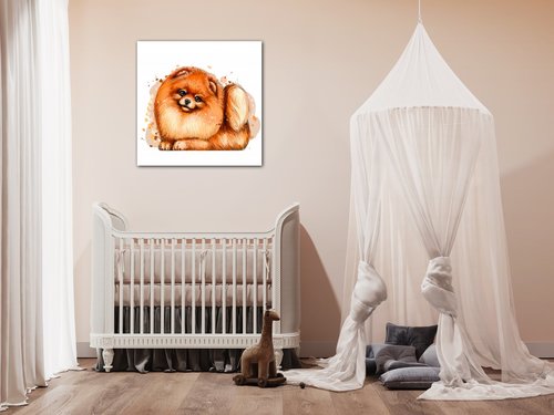 Obraz Pes Pomeranian - 40 x 40 cm