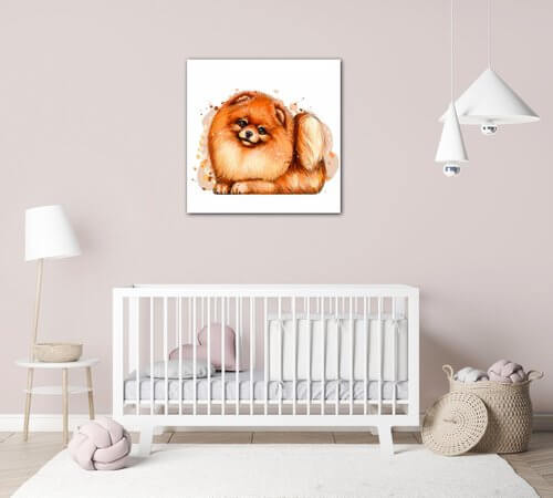 Obraz Pes Pomeranian - 40 x 40 cm