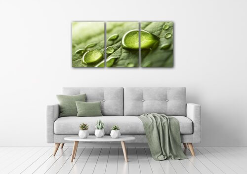 Obraz Kvapky vody na liste - 150 x 70 cm (3 dielny)