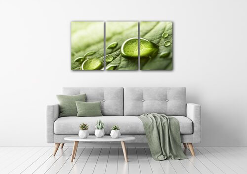 Obraz Kvapky vody na liste - 120 x 60 cm (3 dielný)