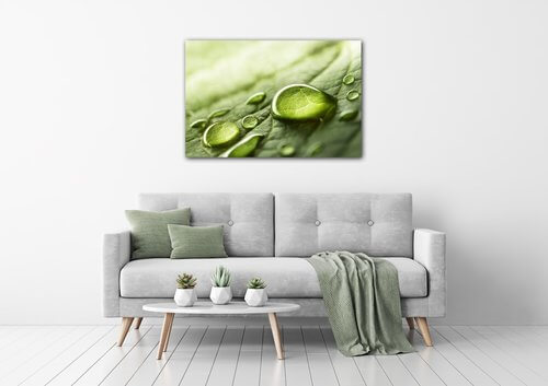Obraz Kvapky vody na liste - 60 x 40 cm