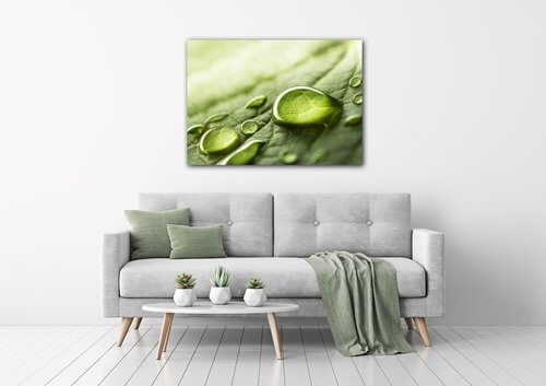 Obraz Kvapky vody na liste - 70 x 50 cm