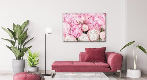 Obraz Ružové pivónie - 90 x 60 cm