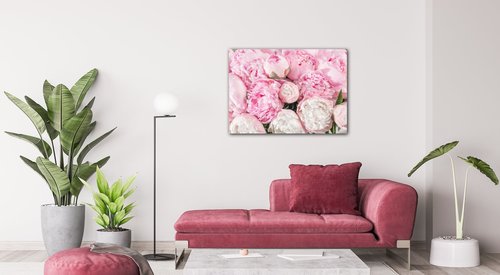 Obraz Ružové pivónie - 70 x 50 cm