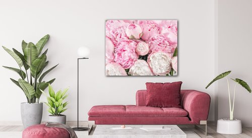 Obraz Ružové pivónie - 90 x 70 cm