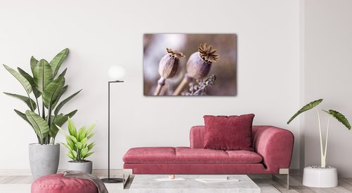 Obraz Suché kvety škandinásky štýl - 60 x 40 cm