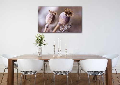 Obraz Suché kvety škandinásky štýl - 50 x 30 cm