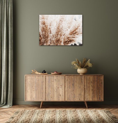 Obraz Suchá tráva škandinávsky štýl - 70 x 50 cm