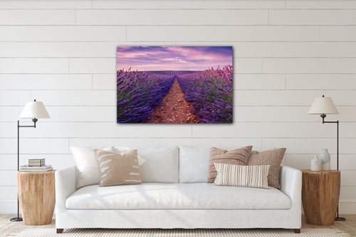 Obraz Levanduľové polia - 60 x 40 cm
