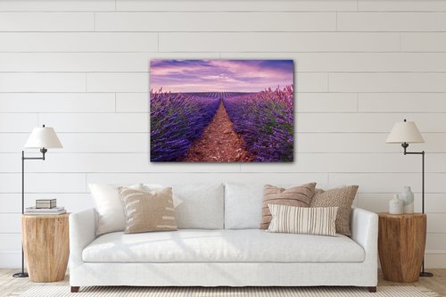 Obraz Levanduľové polia - 70 x 50 cm