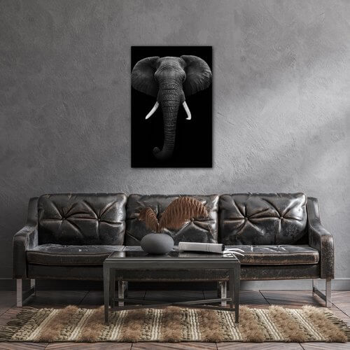 Obraz Slon čiernobiely - 60 x 90 cm