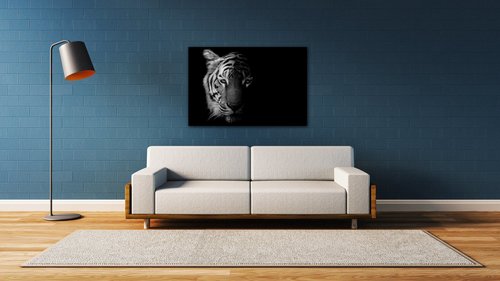 Obraz Tiger čiernobiely - 90 x 60 cm