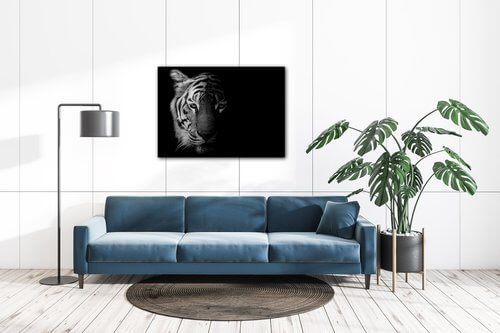 Obraz Tiger čiernobiely - 70 x 50 cm