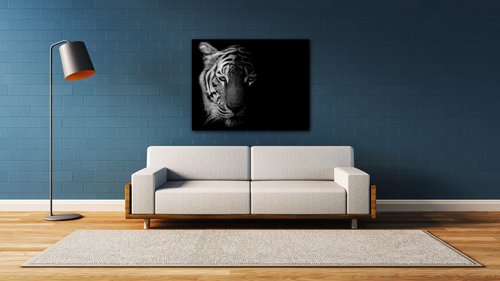 Obraz Tiger čiernobiely - 90 x 70 cm