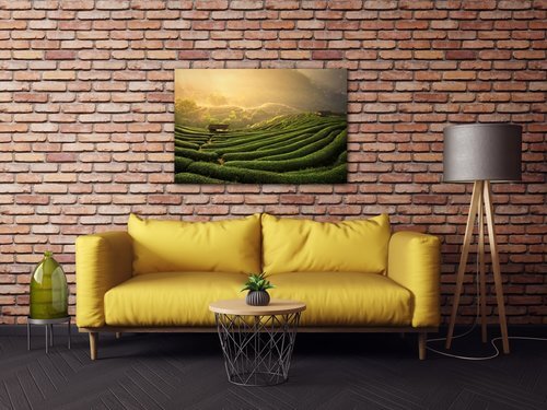 Obraz Východ slnka čajovníková plantáž - 60 x 40 cm