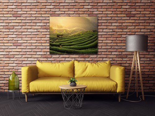 Obraz Východ slnka čajovníková plantáž - 90 x 70 cm