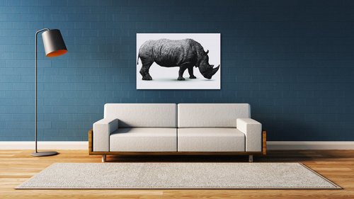 Obraz Nosorožec na bielom pozadí - 60 x 40 cm
