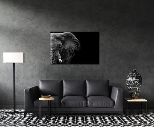 Obraz Slon na čiernom pozadí - 90 x 60 cm
