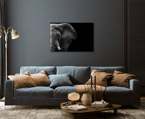 Obraz Slon na čiernom pozadí - 90 x 60 cm